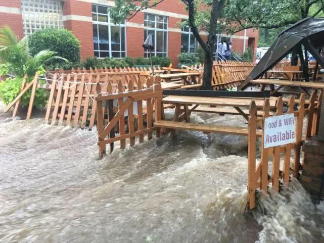 华盛顿天气预报30天查询_华盛顿天气预报7天_华盛顿天气预报