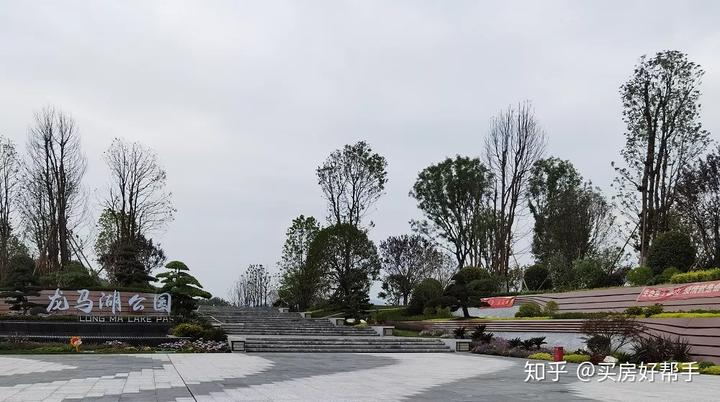 新区医院_新区柳行街道普法_新区