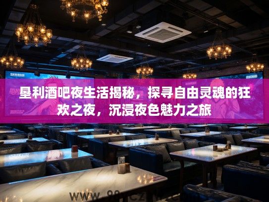 垦利酒吧夜生活揭秘，探寻自由灵魂的狂欢之夜，沉浸夜色魅力之旅