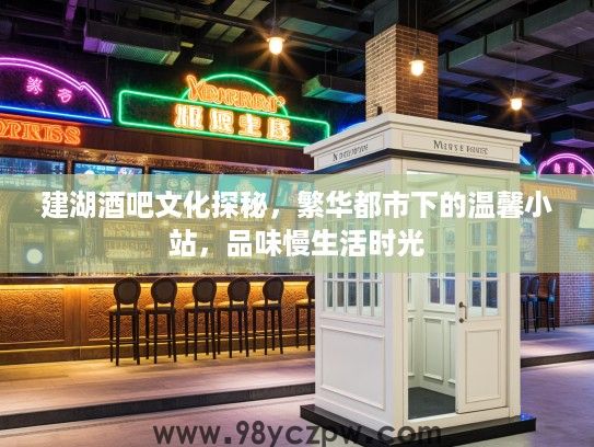 建湖酒吧文化探秘，繁华都市下的温馨小站，品味慢生活时光