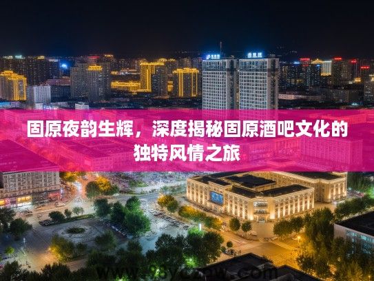 固原夜韵生辉，深度揭秘固原酒吧文化的独特风情之旅