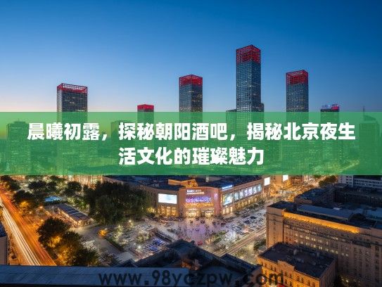 晨曦初露，探秘朝阳酒吧，揭秘北京夜生活文化的璀璨魅力