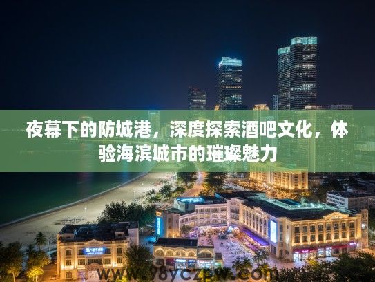 夜幕下的防城港，深度探索酒吧文化，体验海滨城市的璀璨魅力