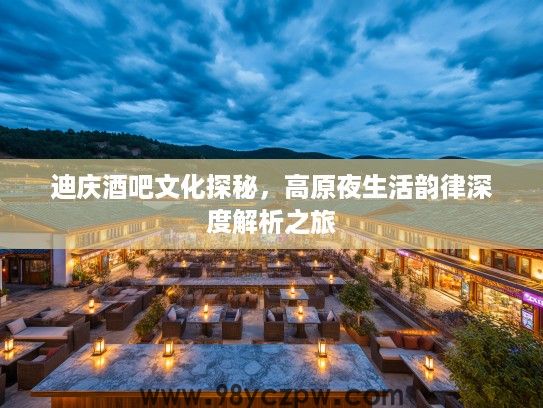 迪庆酒吧文化探秘，高原夜生活韵律深度解析之旅