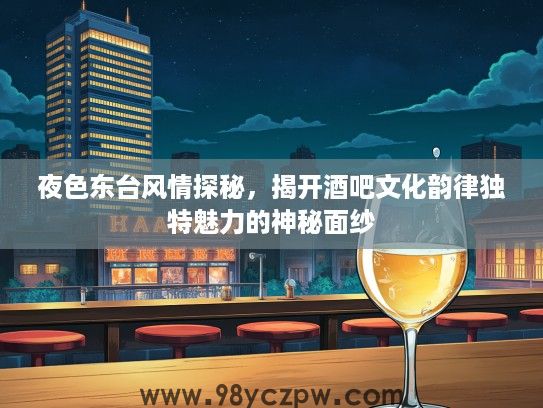夜色东台风情探秘，揭开酒吧文化韵律独特魅力的神秘面纱