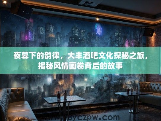 夜幕下的韵律，大丰酒吧文化探秘之旅，揭秘风情画卷背后的故事
