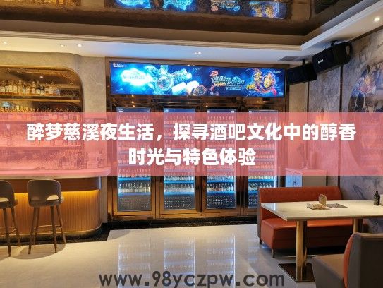 醉梦慈溪夜生活，探寻酒吧文化中的醇香时光与特色体验