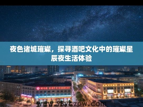 夜色诸城璀璨，探寻酒吧文化中的璀璨星辰夜生活体验