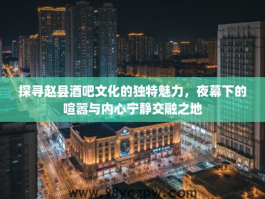 探寻赵县酒吧文化的独特魅力，夜幕下的喧嚣与内心宁静交融之地