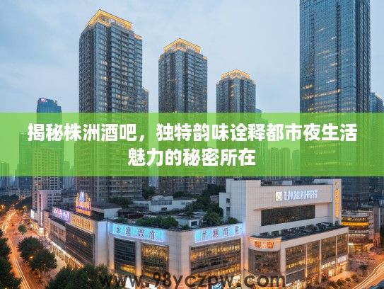 揭秘株洲酒吧，独特韵味诠释都市夜生活魅力的秘密所在