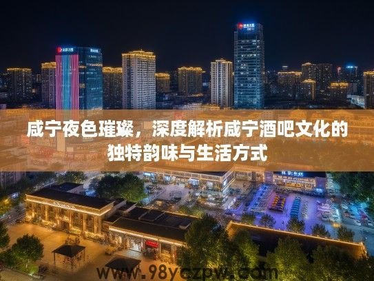 咸宁夜色璀璨，深度解析咸宁酒吧文化的独特韵味与生活方式