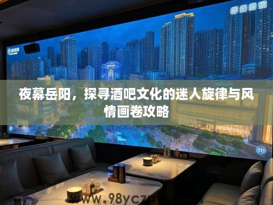 夜幕岳阳，探寻酒吧文化的迷人旋律与风情画卷攻略