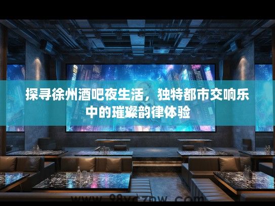 探寻徐州酒吧夜生活，独特都市交响乐中的璀璨韵律体验
