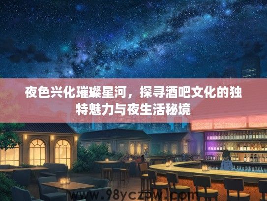 夜色兴化璀璨星河，探寻酒吧文化的独特魅力与夜生活秘境