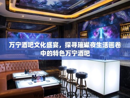 万宁酒吧文化盛宴，探寻璀璨夜生活画卷中的特色万宁酒吧