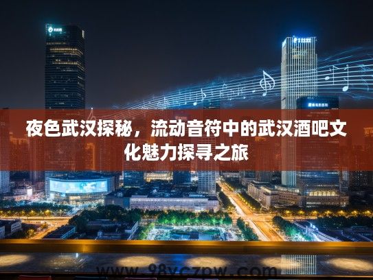 夜色武汉探秘，流动音符中的武汉酒吧文化魅力探寻之旅