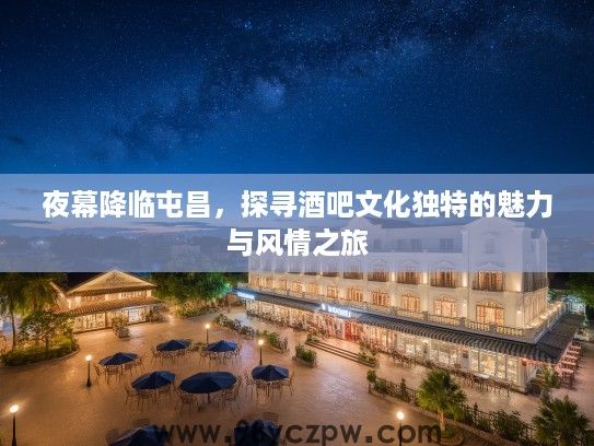 夜幕降临屯昌，探寻酒吧文化独特的魅力与风情之旅