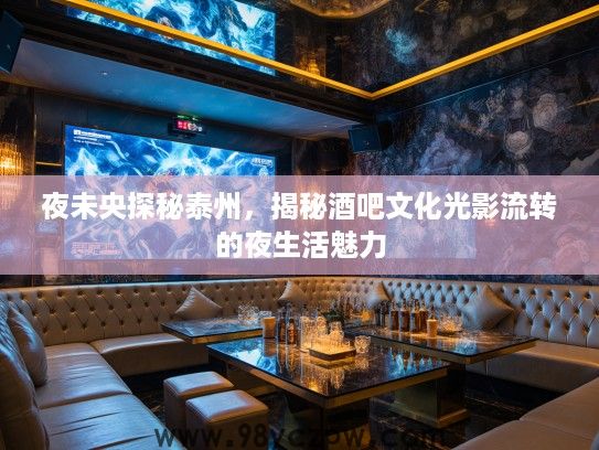 夜未央探秘泰州，揭秘酒吧文化光影流转的夜生活魅力