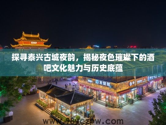 探寻泰兴古城夜韵，揭秘夜色璀璨下的酒吧文化魅力与历史底蕴
