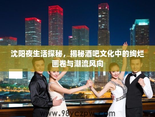 沈阳夜生活探秘，揭秘酒吧文化中的绚烂画卷与潮流风向