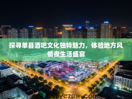 探寻单县酒吧文化独特魅力，体验地方风情夜生活盛宴