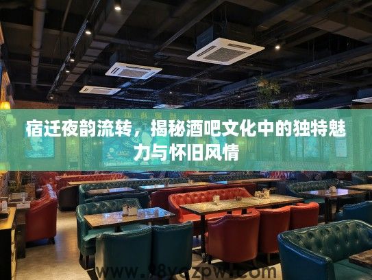 宿迁夜韵流转,揭秘酒吧文化中的独特魅力与怀旧风情 宿迁夜韵流转,揭秘酒吧文化中的独特魅力与怀旧风情