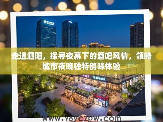 走进泗阳,探寻夜幕下的酒吧风情,领略城市夜晚独特韵味体验 走进泗阳,探寻夜幕下的酒吧风情,领略城市夜晚独特韵味体验