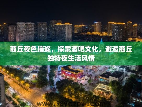 商丘夜色璀璨，探索酒吧文化，邂逅商丘独特夜生活风情