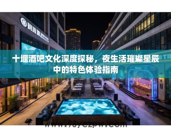 十堰酒吧文化深度探秘，夜生活璀璨星辰中的特色体验指南