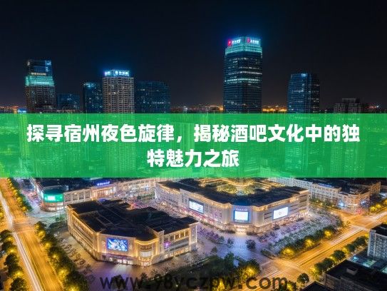 探寻宿州夜色旋律,揭秘酒吧文化中的独特魅力之旅 探寻宿州夜色旋律,揭秘酒吧文化中的独特魅力之旅