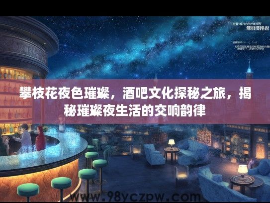 攀枝花夜色璀璨，酒吧文化探秘之旅，揭秘璀璨夜生活的交响韵律