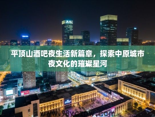 平顶山酒吧夜生活新篇章，探索中原城市夜文化的璀璨星河