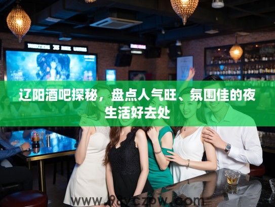 辽阳酒吧探秘，盘点人气旺、氛围佳的夜生活好去处