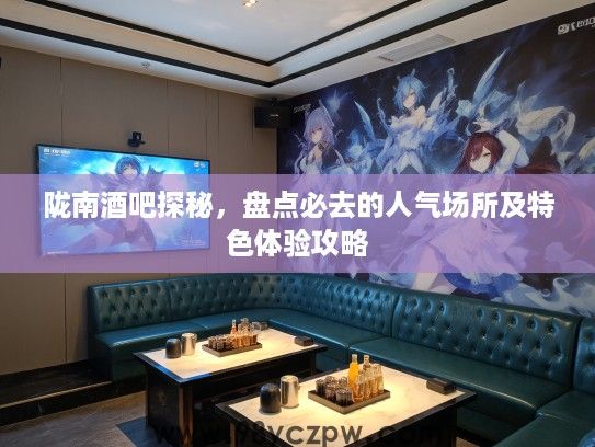 陇南酒吧探秘，盘点必去的人气场所及特色体验攻略