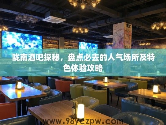 陇南酒吧探秘，盘点必去的人气场所及特色体验攻略