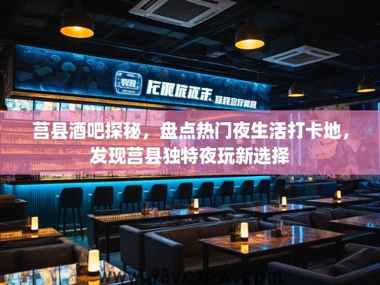 莒县酒吧探秘，盘点热门夜生活打卡地，发现莒县独特夜玩新选择