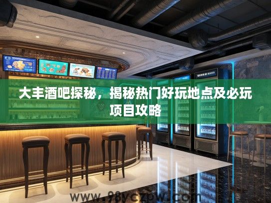 大丰酒吧探秘，揭秘热门好玩地点及必玩项目攻略