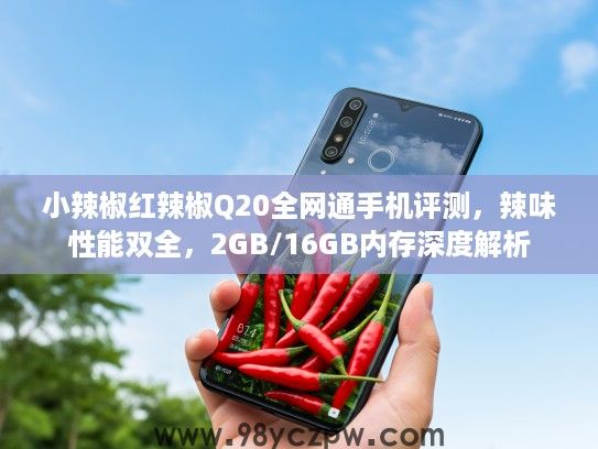 小辣椒红辣椒Q20全网通手机评测，辣味性能双全，2GB/16GB内存深度解析