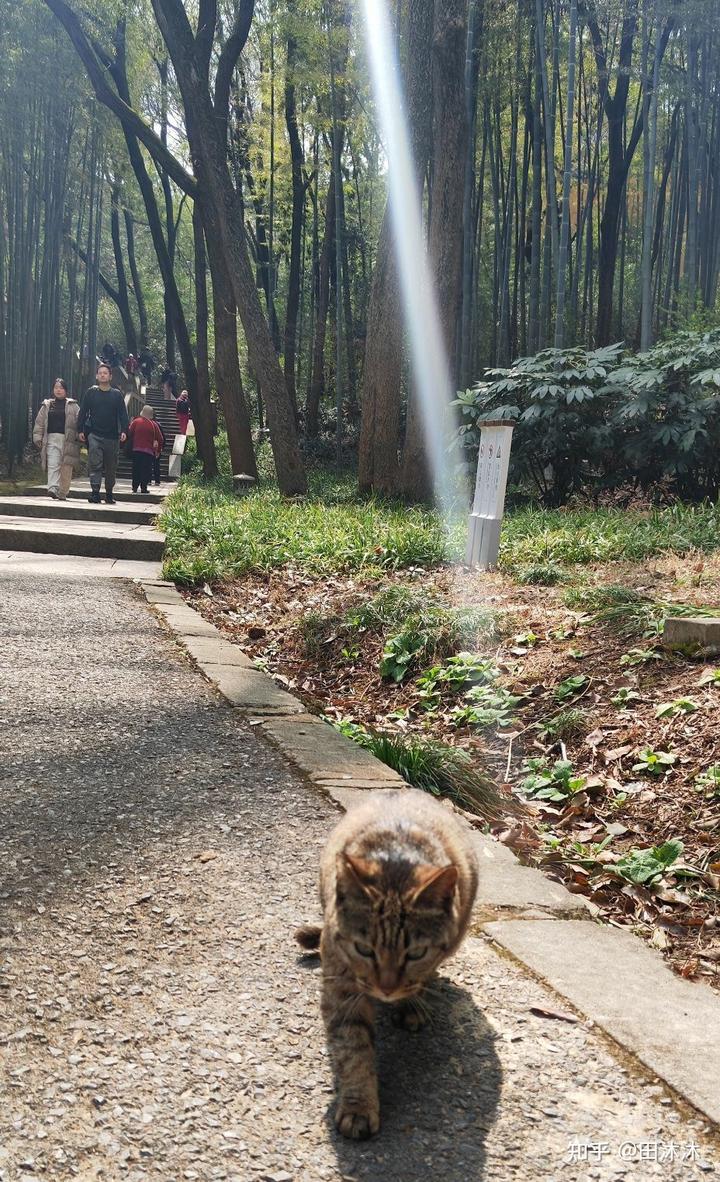 无锡_无锡虹桥医院_无锡天气