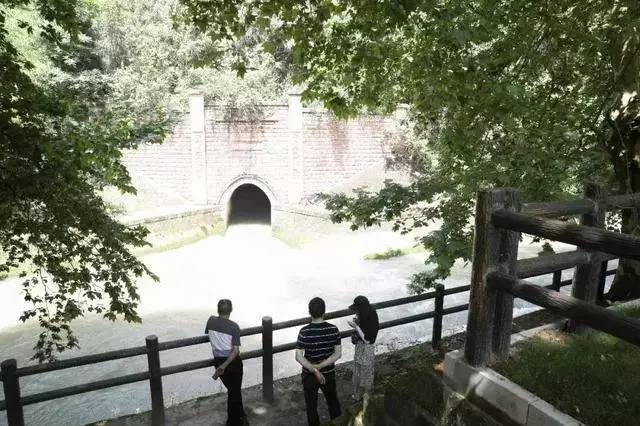 简阳召开特种设备风险研判_简阳妇幼保健院_简阳