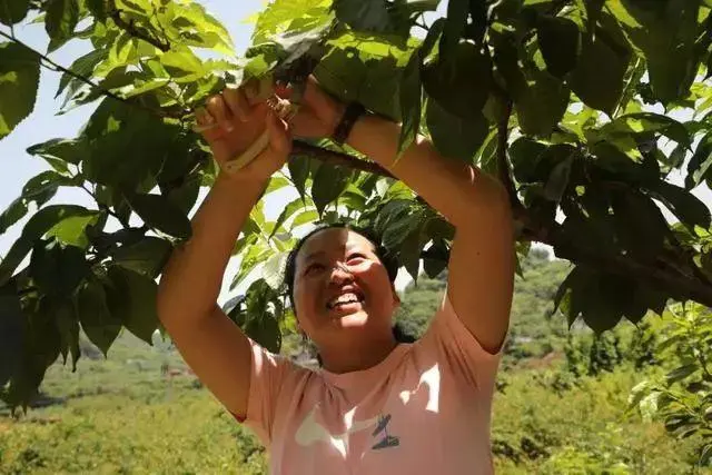 简阳妇幼保健院_简阳_简阳召开特种设备风险研判