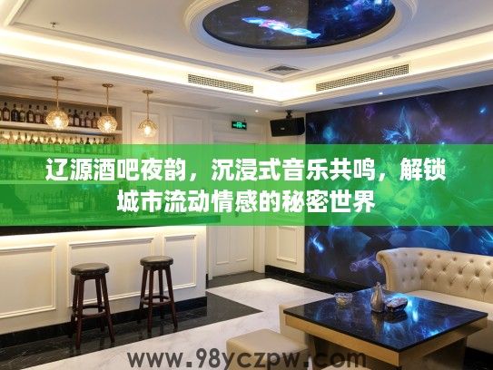 辽源酒吧夜韵，沉浸式音乐共鸣，解锁城市流动情感的秘密世界