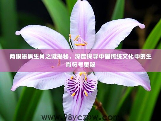 两眼墨黑生肖之谜揭秘，深度探寻中国传统文化中的生肖符号奥秘