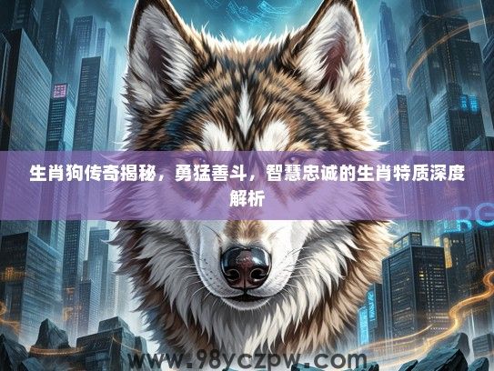 生肖狗传奇揭秘，勇猛善斗，智慧忠诚的生肖特质深度解析