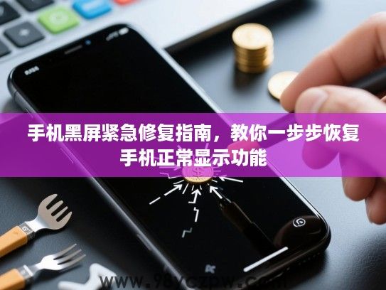 手机黑屏紧急修复指南,教你一步步恢复手机正常显示功能 手机黑屏紧急修复指南,教你一步步恢复手机正常显示功能